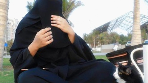 娱乐吃瓜酱爆料猛料：偷外卖、流浪猫和刘涛内幕揭秘