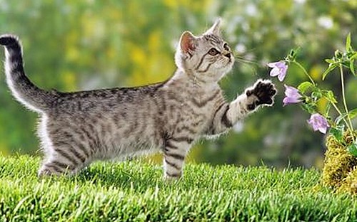 最新网红反差曝光引爆讨论，娱乐圈吃瓜酱揭秘幕后真相