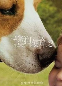 娱乐吃瓜酱女孩的神秘举动引发热议，背后故事逐渐浮出水面